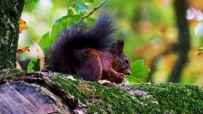 A Minute in&nbsp;Nature